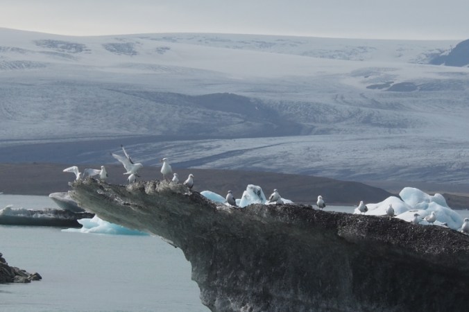 ISLANDE JOKULSARLON