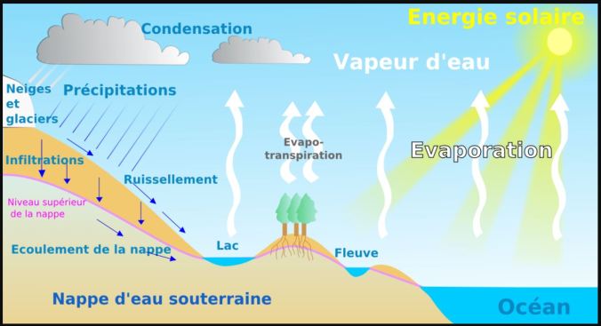 cycle de l eau