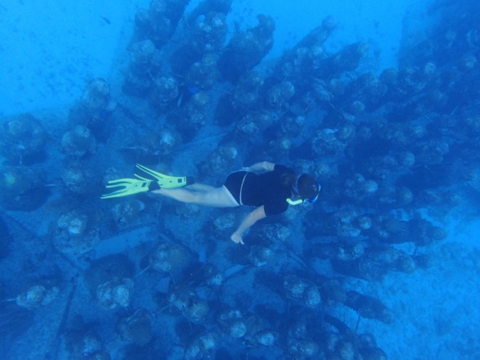 MUSA museum, Isla Mujeres, Mexico