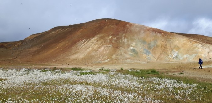 pingvelliralandman23