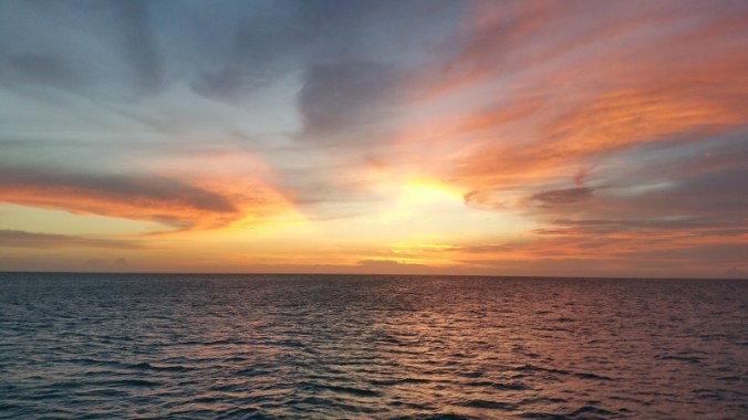 partie7GREATGUANACAY02