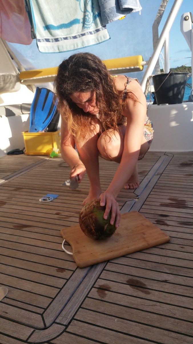 partie7GREATGUANACAY15