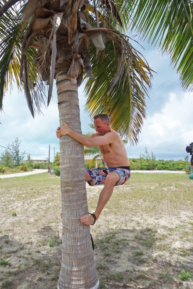 partie7GREATGUANACAY21