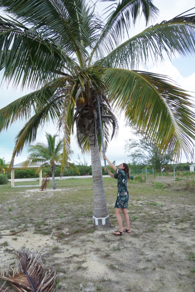 partie7GREATGUANACAY23