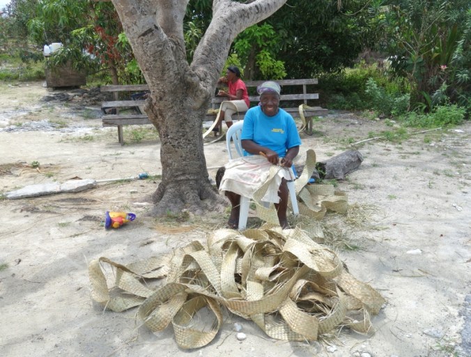 partie7GREATGUANACAY32